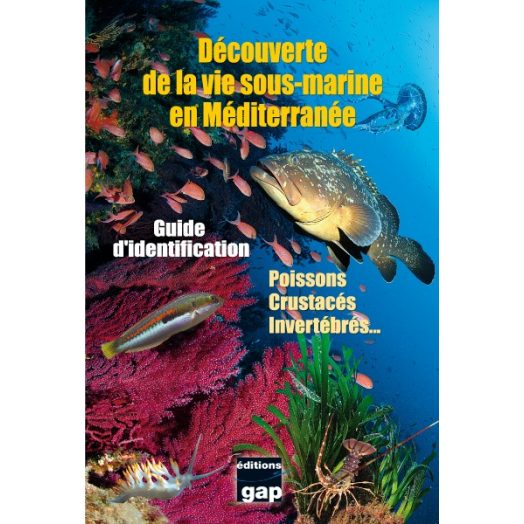 LIVRE - DECOUVERTE DE LA VIE SOUS-MARINE EN MEDITERRANEE - Librairie - Catalogue - Atlantys Homopalmus