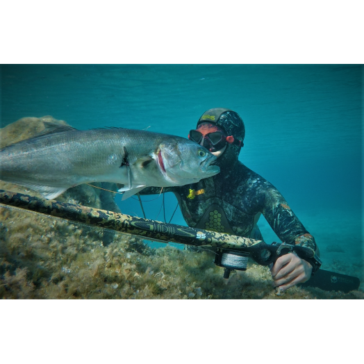 C4 - Arbalète GLADIUS CAMO Green