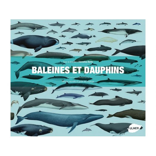CDS - Livre BALEINES ET DAUPHINS