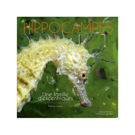 CDS - Livre HIPPOCAMPES, UNE FAMILLE D'EXCENTRIQUES - Librairie - Catalogue - Atlantys Homopalmus