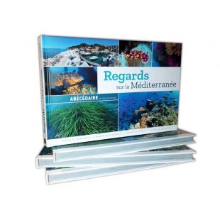 CDS - REGARDS SUR LA MÉDITERRANÉE – ABÉCÉDAIRE DE LA...