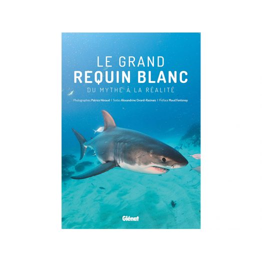 CDS - Livre LE GRAND REQUIN BLANC, DU MYTHE À LA RÉALITÉ