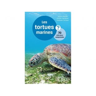 CDS - LES TORTUES MARINES, 70 CLÉS POUR COMPRENDRE