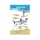 CDS - GUIDE DES REQUINS, RAIES ET CHIMÈRES DES CÔTES FRANÇAISES ET EUROPÉENNES