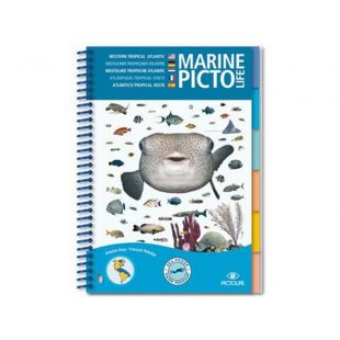 CDS - MARINE PICTO LIFE - CARAÏBES / ATLANTIQUE TROPICAL...