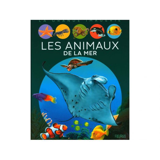 CDS -LA GRANDE IMAGERIE: LES ANIMAUX DE LA MER - Librairie - Catalogue - Atlantys Homopalmus