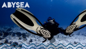 Comment bien choisir ses palmes de plongée sous-marine ?